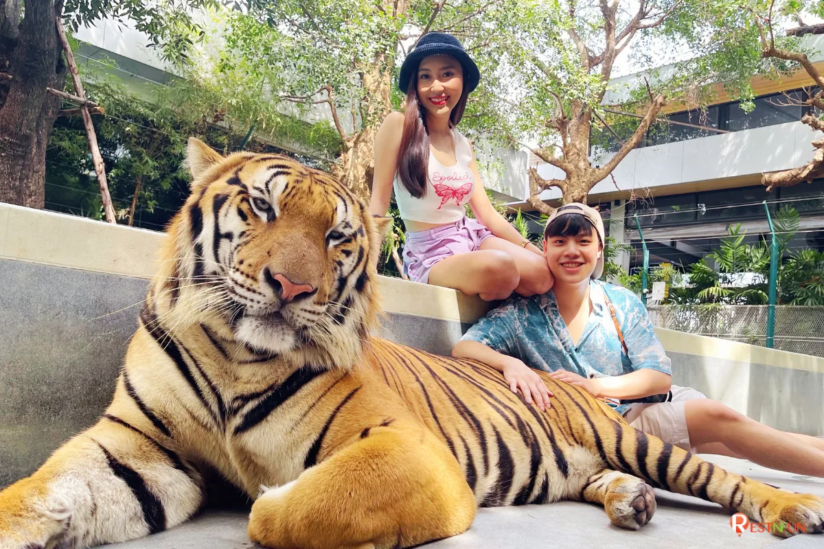 Tiger Park Pattaya มีค่าเข้าหลากหลายราคา